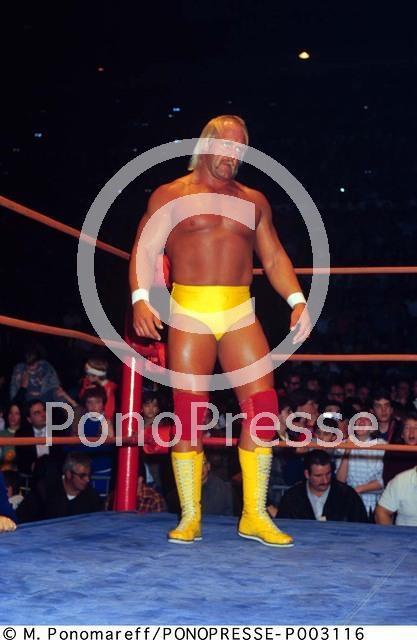 Hulk Hogan