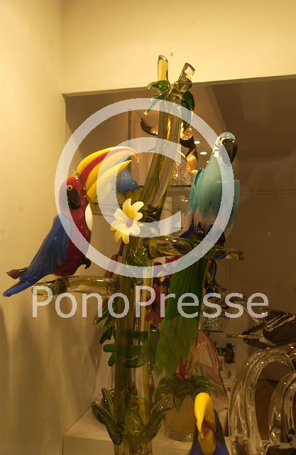 Parrots of Glass