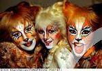 Cats musical