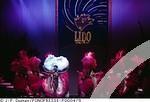 The Paris Lido Show